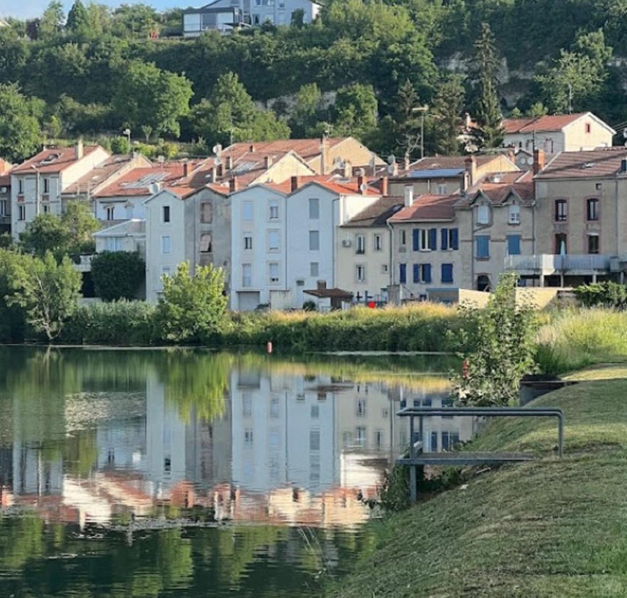 Jolie, Cozy, Confortable Maison De Ville Au Calme A 5Min Du Centre De Verdun, Parking Devant La Maison Belleville-Sur-Meuse Eksteriør bilde